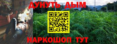 прущие грибы Кулебаки