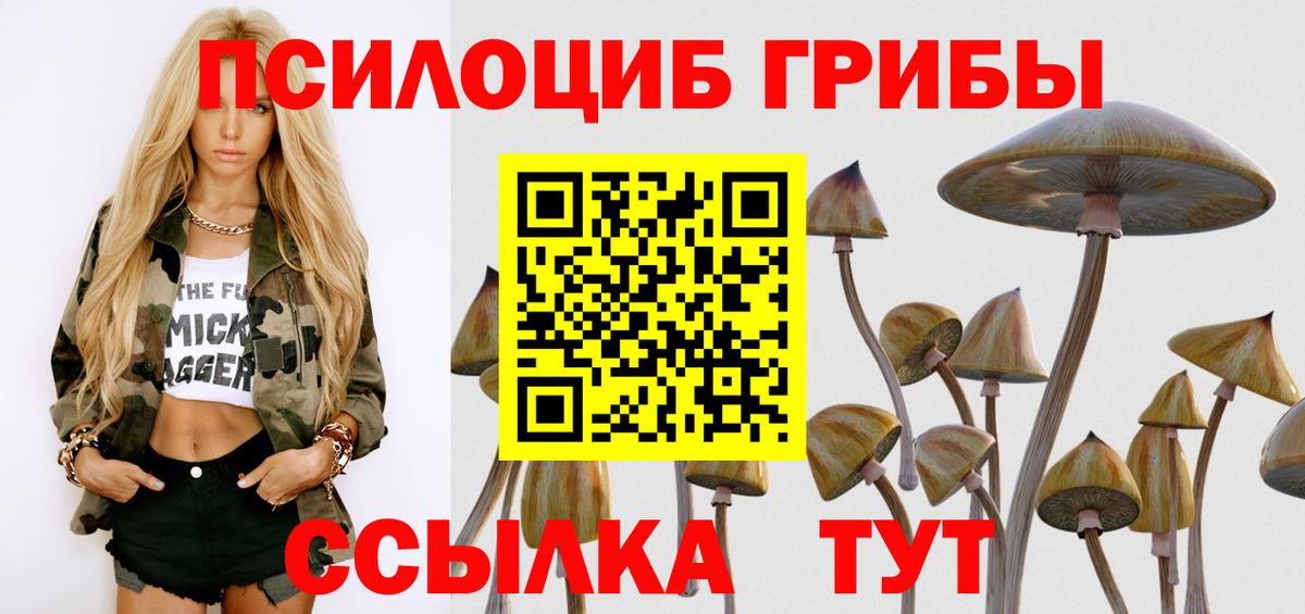 Псилоцибиновые грибы Cubensis Звенигород