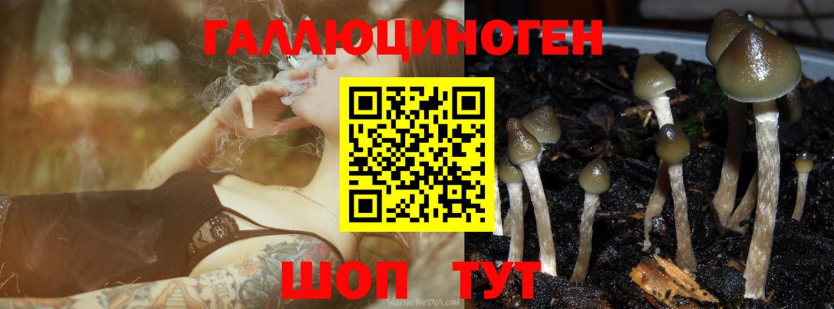 Звенигород  Псилоцибиновые грибы прущие грибы  магазин  наркотиков  Вход с VPN 